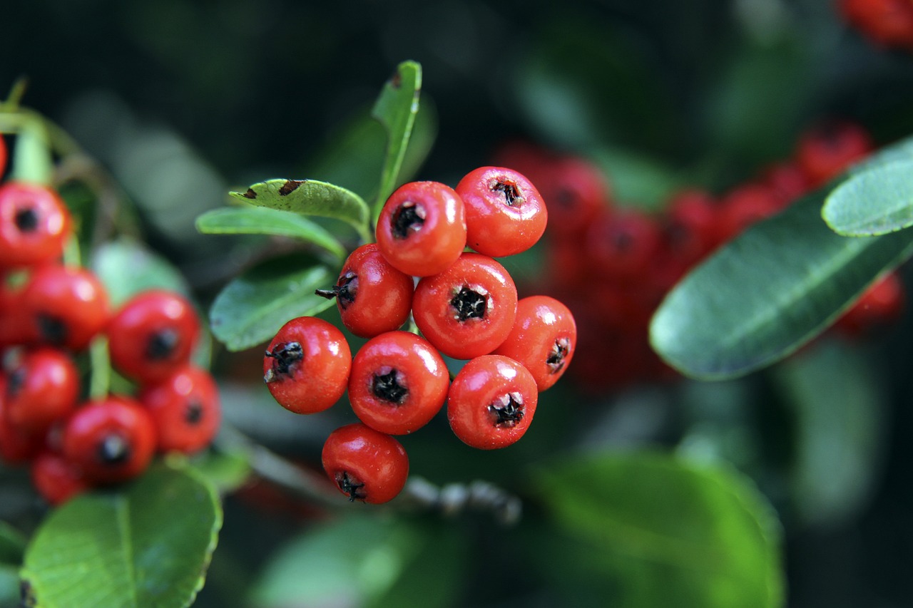领袖风范 领袖风范