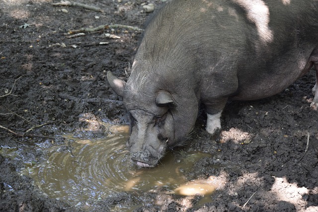 也因報復性 也因報復性