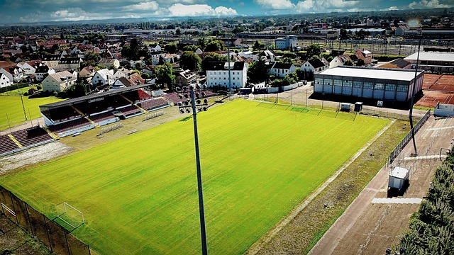 一系列康复 一系列康复