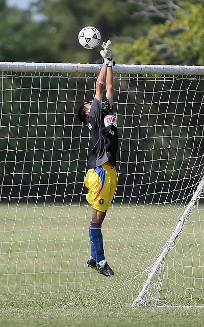 这也说明了 这也说明了