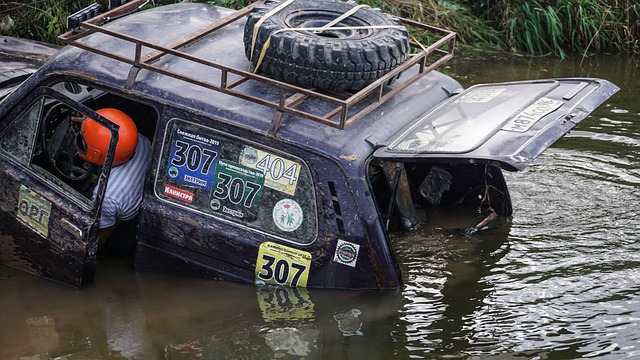 洛杉矶湖人 洛杉矶湖人