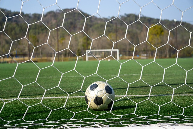 慧与勇气的 慧与勇气的